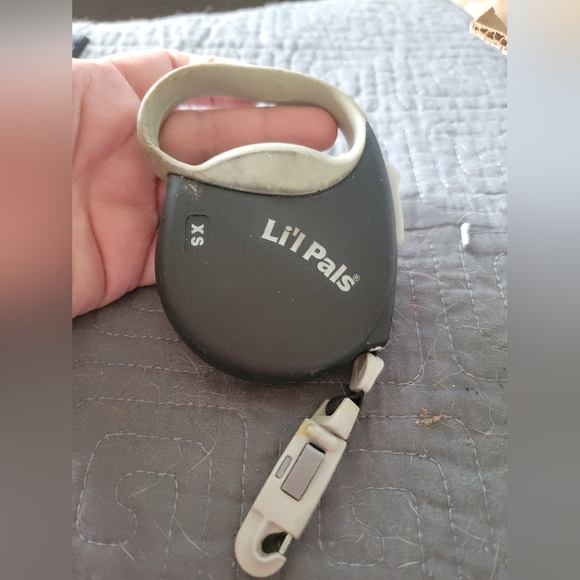 Retractable leash, chain leash and collar for small dog, good condition - Picture 3 of 4